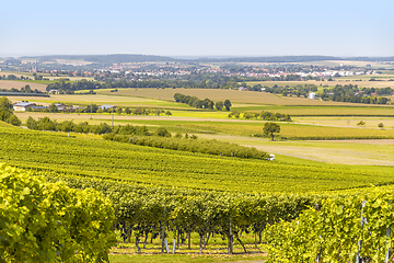 Image showing winegrowing scenery in Hohenlohe