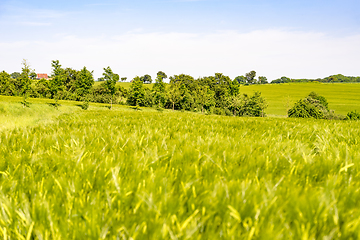 Image showing rural landscape at spring time