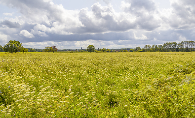 Image showing rural scenery in Hohenlohe