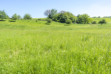 Image showing idyllic spring time scenery