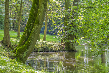 Image showing idyllic park scenery