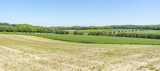 Image showing rural springtime scenery