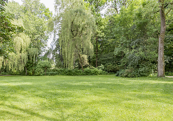 Image showing idyllic park scenery