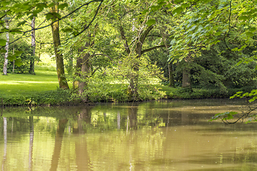 Image showing idyllic park scenery