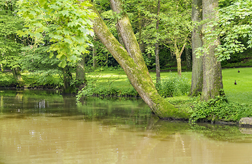 Image showing idyllic park scenery