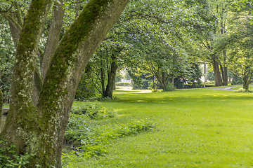 Image showing idyllic park scenery