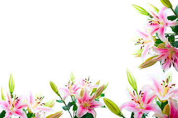 Image showing lily flowers composition frame