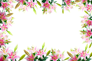 Image showing lily flowers composition frame