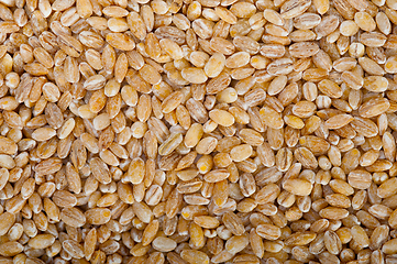 Image showing organic barley grains