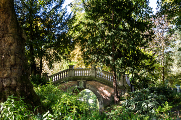 Image showing Bridge in Parc Monceau, Paris, France