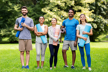 Image showing group of happy people with yoga mats at park