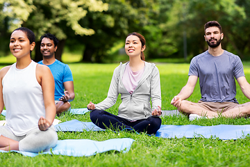 Image showing group of people doing yoga at summer park