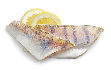 Image showing fresh raw zander filet