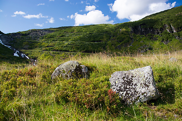 Image showing Vikafjell, Hordaland, Norway