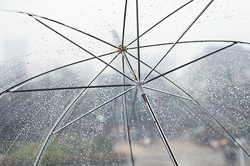 Image showing Wet transparent umbrella on natural background