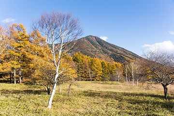 Image showing Mount Nantai in Autumn