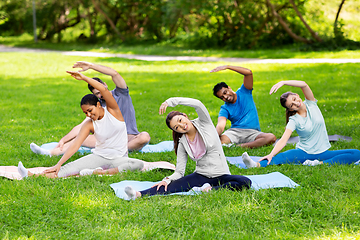 Image showing group of people exercising at summer park