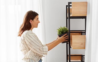 Image showing woman decorating home with flower or houseplant