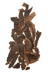 Image showing Scrophularia Figwort Root Chinese Herb  