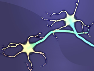 Image showing Neuron nerve cells