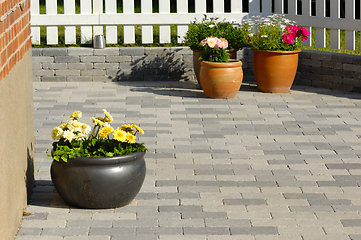 Image showing Flowers in pots 