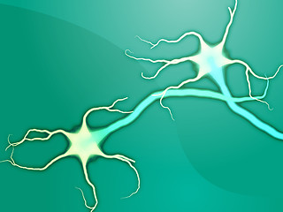 Image showing Neuron nerve cells