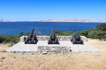 Image showing Old cannons in front Nehaj Fortres on the hill Nehaj in the town