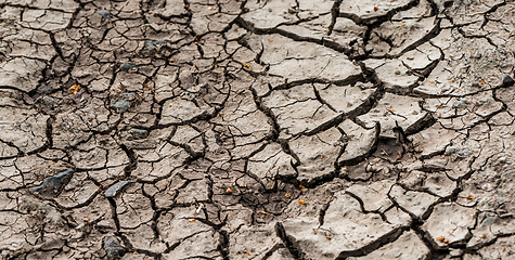 Image showing Dry cracked soil.