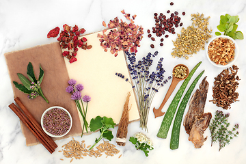 Image showing Herbal Plant Medicine Preparation with Herbs and Flowers