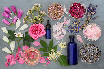 Image showing Herbs and Flowers for Naturopathic Herbal Medicine 