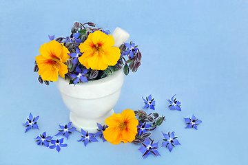 Image showing Borage and Nasturtium Flowers used in Herbal Medicine