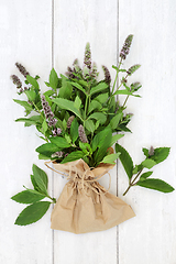 Image showing Peppermint Herb for Seasoning and Herbal Medicine 