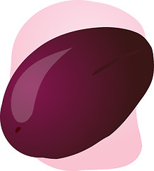 Image showing Plum fruit illustration