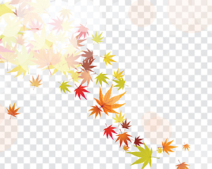 Image showing Autumn maple leaves background
