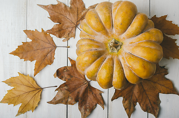 Image showing Pumkin and maple leaves