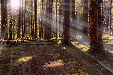 Image showing first rays of morning sun