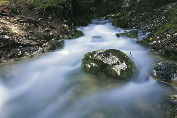 Image showing spring in the Apuseni mountains