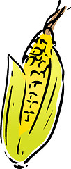 Image showing Corn vegetable lineart sketch clipart isolated illustration