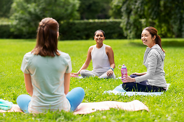 Image showing group of people sitting on yoga mats at park