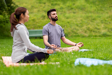 Image showing group of people doing yoga at summer park