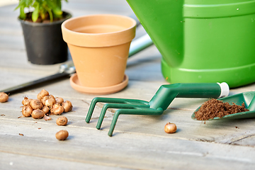 Image showing garden tools and flowers on wooden terrace