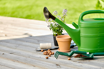 Image showing garden tools and flowers on wooden terrace