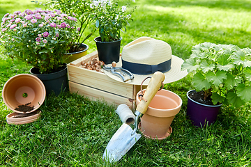 Image showing garden tools, wooden box and flowers at summer