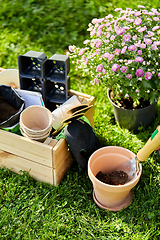 Image showing garden tools in wooden box at summer