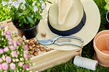 Image showing garden tools, wooden box and flowers at summer