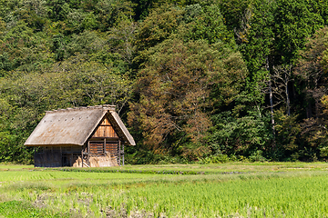 Image showing Shirakawago village in the forest