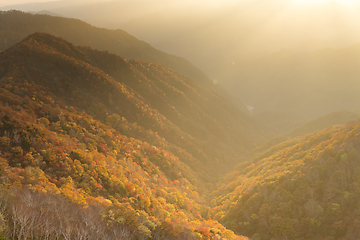 Image showing Beautiful sunset in Nikko of Japan