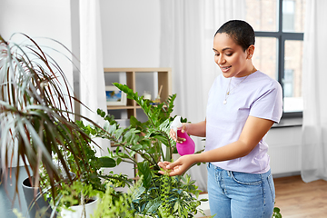 Image showing woman spraying houseplant with water at home