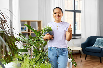 Image showing african american woman with plants at home