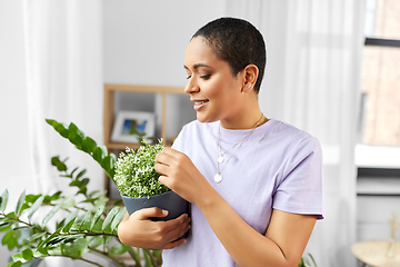 Image showing african american woman with plants at home